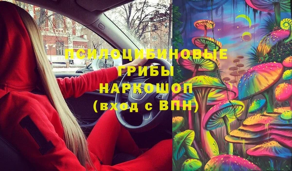 стаф Бугульма
