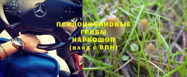 а пвп мука Котовск