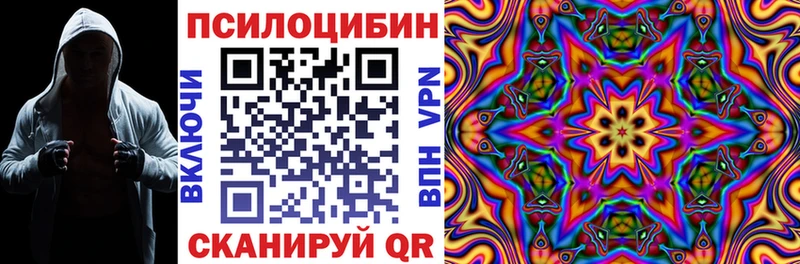 дарк нет клад  купить наркоту  Бородино  Псилоцибиновые грибы Psilocybine cubensis  мега онион 